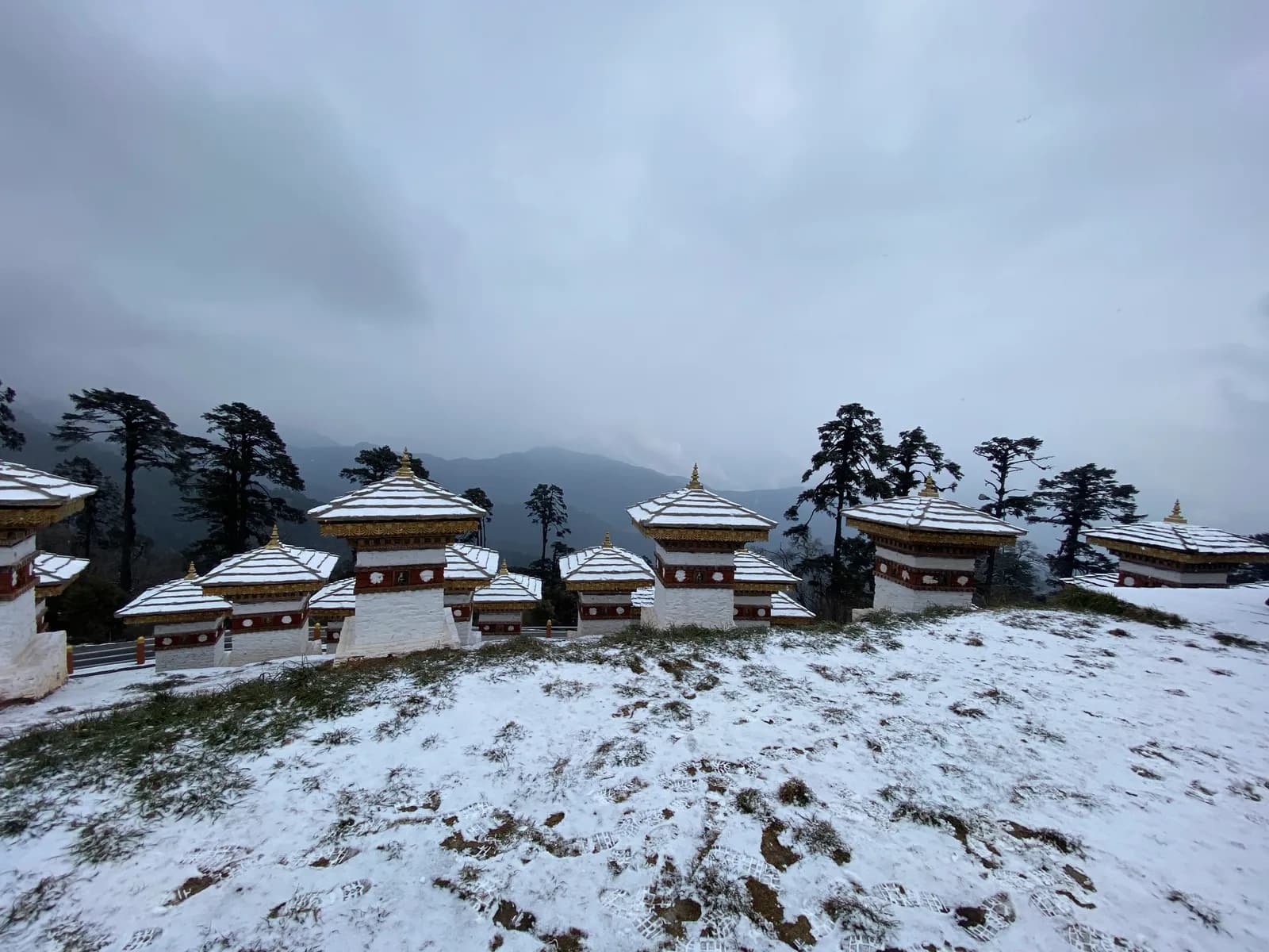 The chortens at Dochula under fresh snow, pines and mist behind them