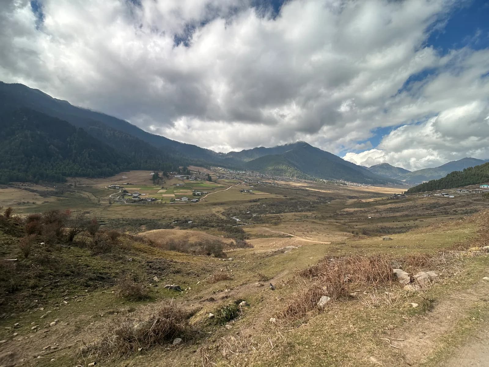 The broad open floor of the Phobjikha valley, farmhouses scattered across it under moving cloud